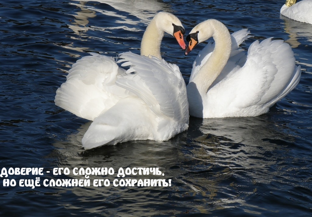 Доверие — его сложно достичь
