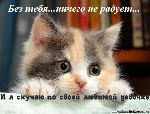 И я скучаю по своей любимой