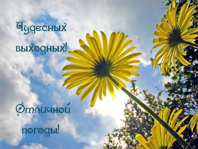Чудесных выходных! Отличной погоды!