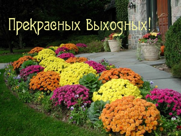 Прекрасных выходных!
