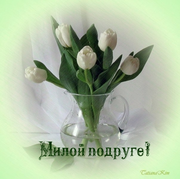Милой подруге!