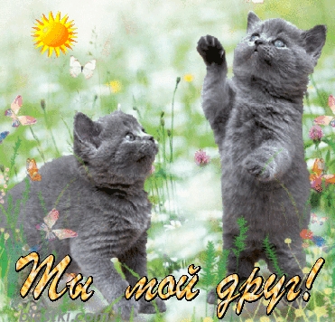 Ты мой друг!
