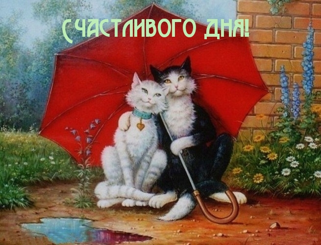 Счастливого дня!