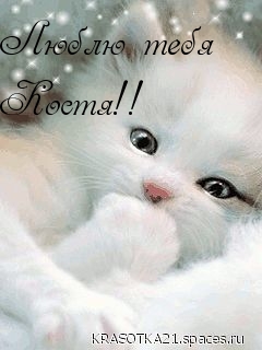 Люблю тебя Костя!!
