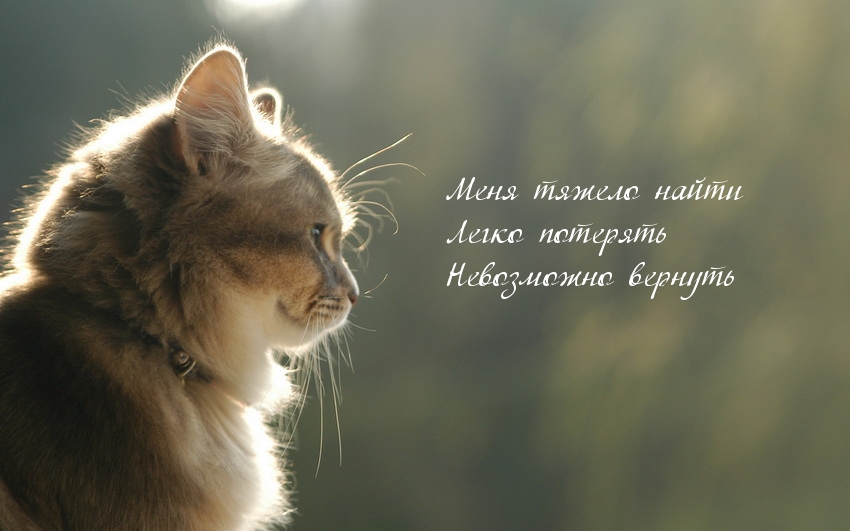 Меня тяжело найти легко потерять