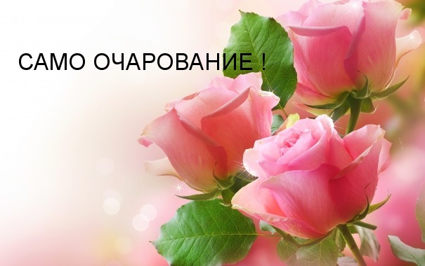 Само очарование!