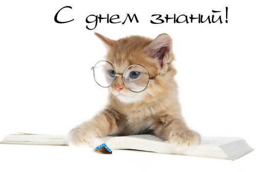 Поздравление с днем знаний