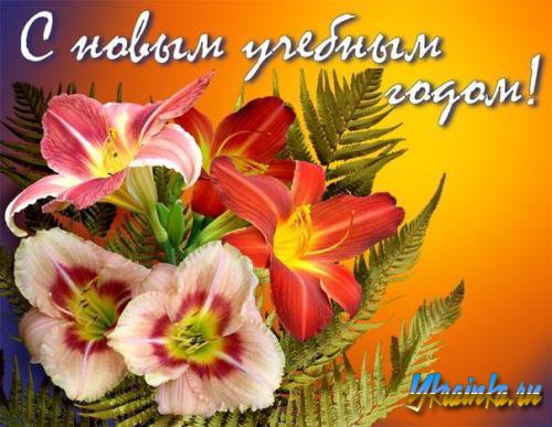 С новым учебным годом!