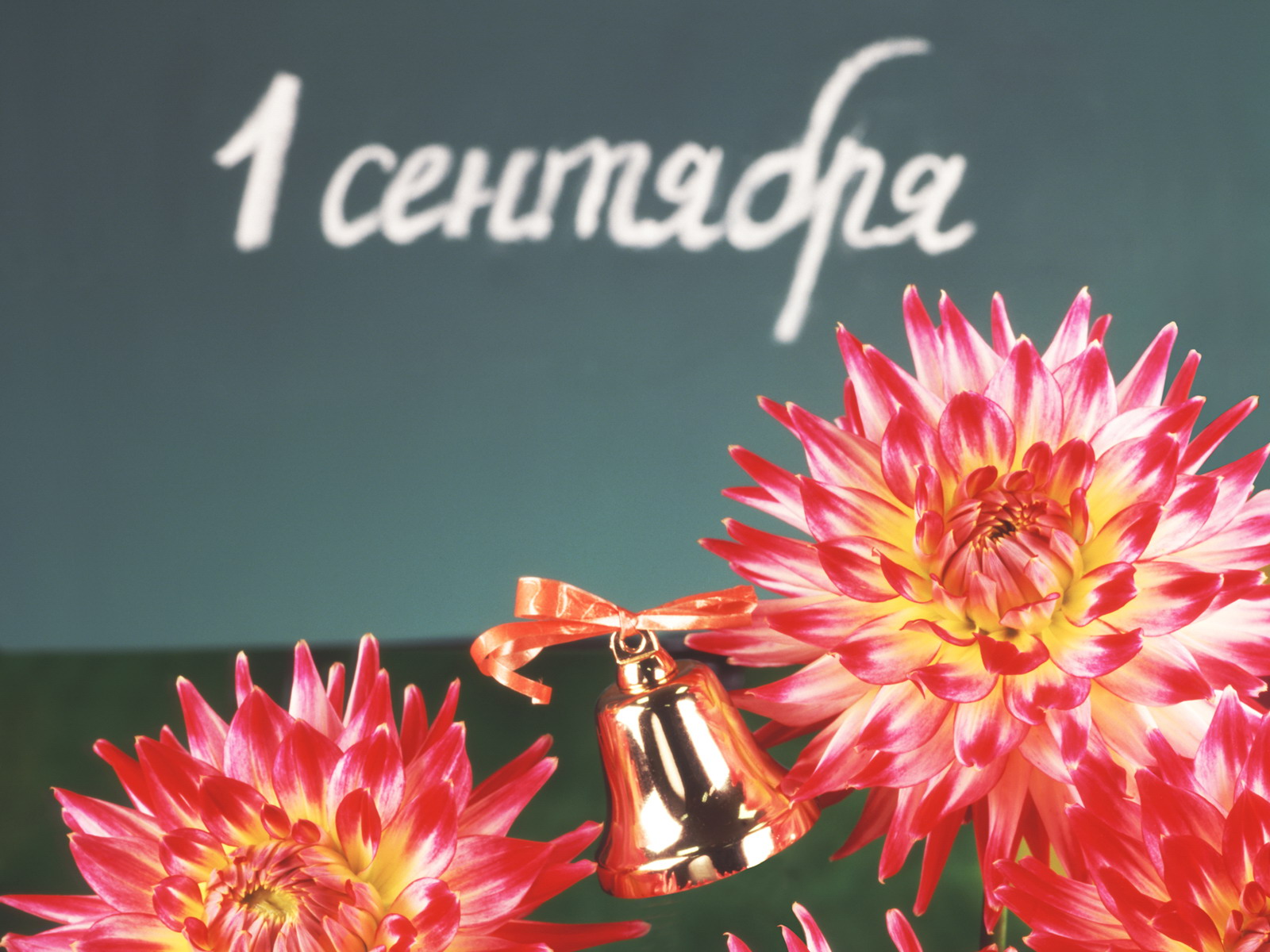 Первое сентября