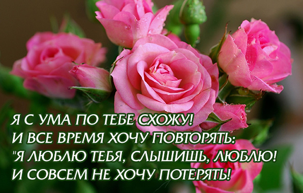 Я люблю тебя, слышишь, люблю!