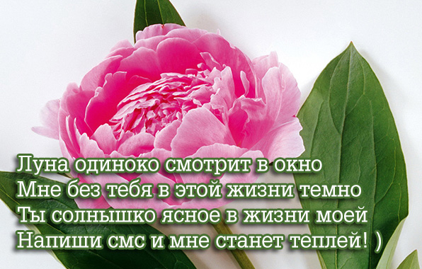 Ты солнышко ясное в жизни моей
