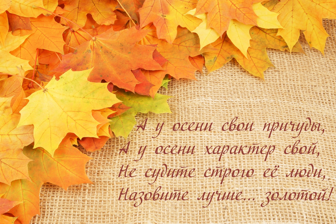 А у осени свои причуды