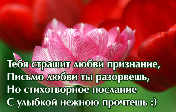 Тебя страшит любви признанье