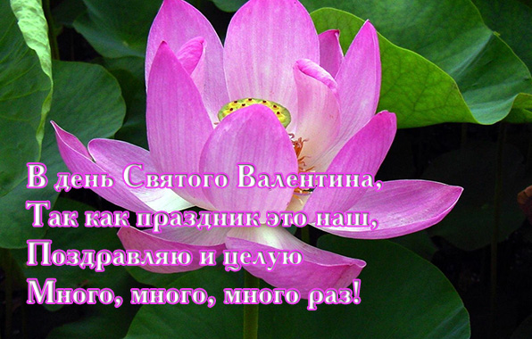 В день Святого Валентина