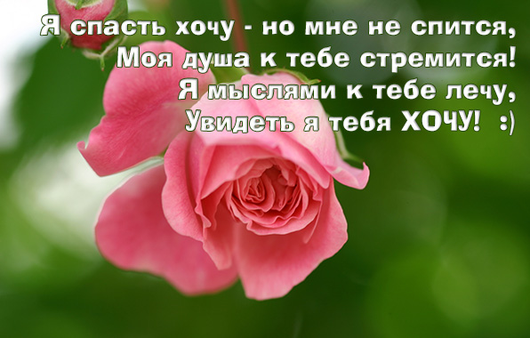 Я мыслями к тебе лечу