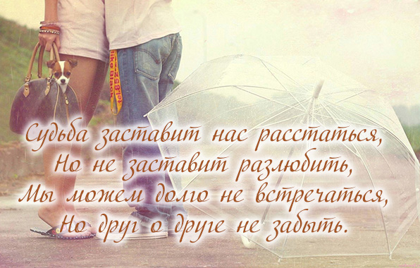 Но друг о друге не забыть