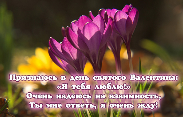 Очень надеюсь на взаимность