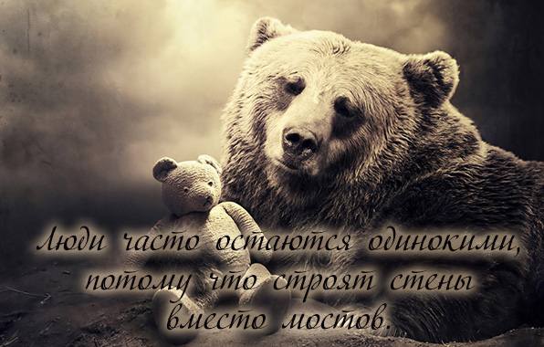 Картинки с надписями.  Люди часто остаются одинокими.