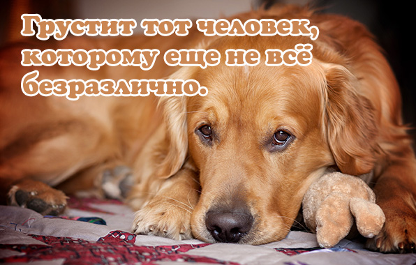 Грустит тот человек, которому