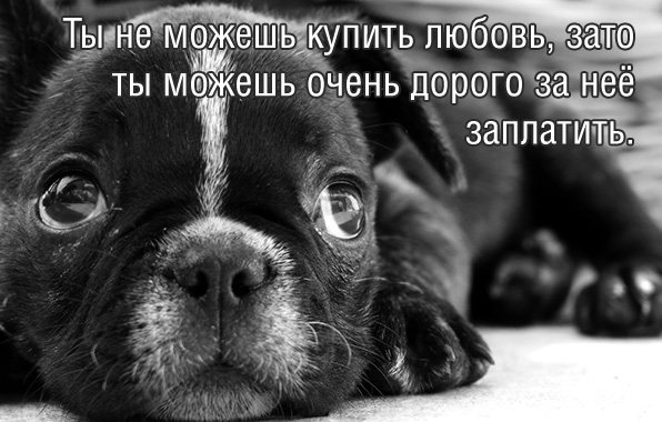 Ты не можешь купить любовь