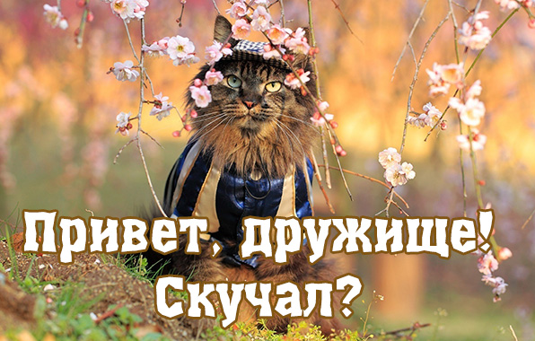 Привет, дружище! Скучал?