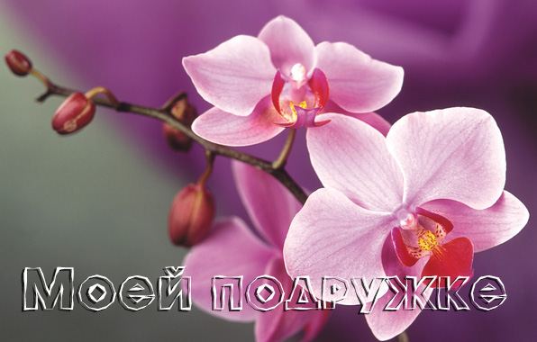 Моей подружке