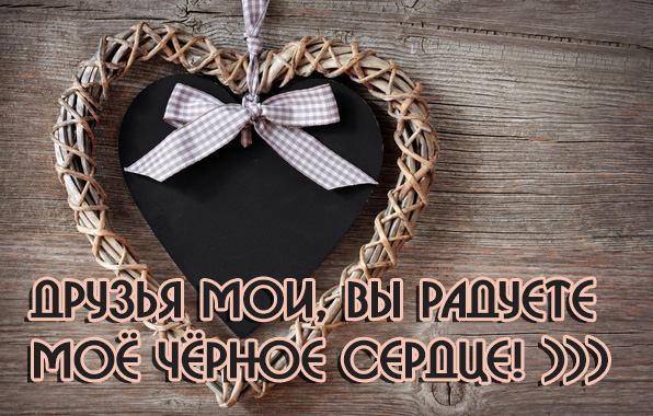 Друзья мои, вы радуете