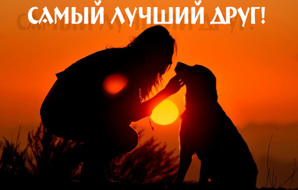 Самый лучший друг!