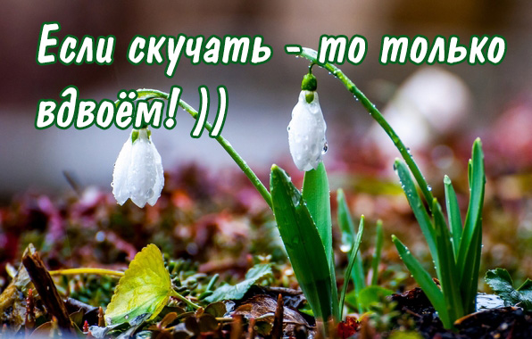 Если скучать — то только вдвоём!