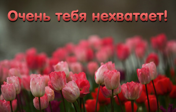 Очень тебя не хватает
