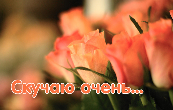 Скучаю очень..