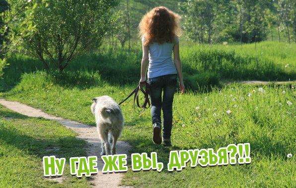 Ну где же вы, друзья?