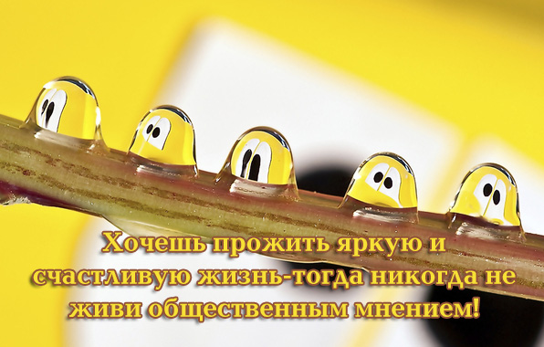 Хочешь прожить яркую и счастливую жизнь