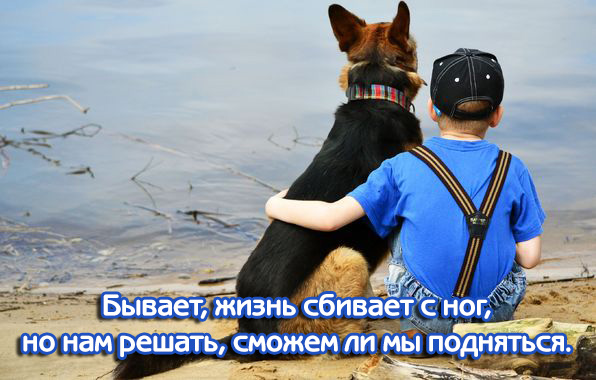 Бывает, жизнь сбивает с ног