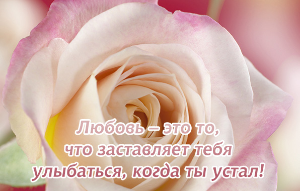 Любовь заставляет тебя улыбаться