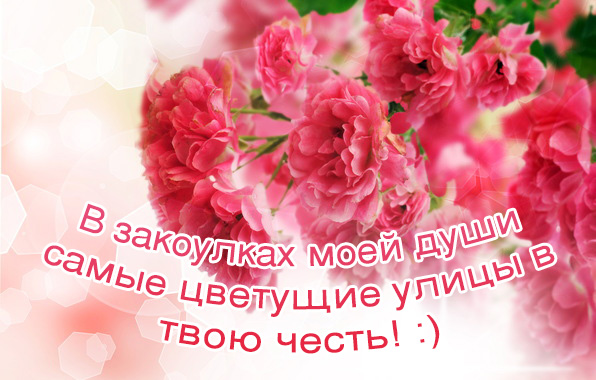 Самые цветущие улицы в твою честь