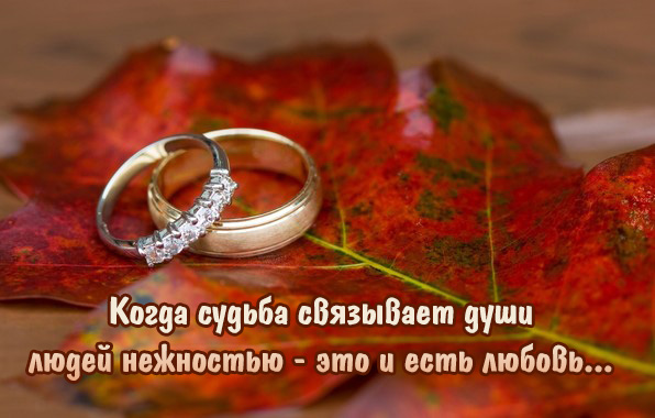 Когда судьба связывает души людей нежностью