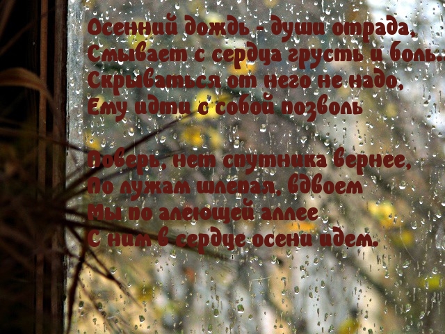 Осенний дождь — души отрада