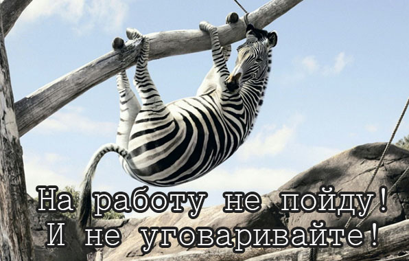 На работу не пойду