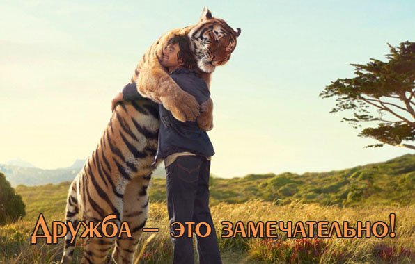 Дружба — это замечательно