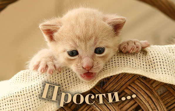Прости..