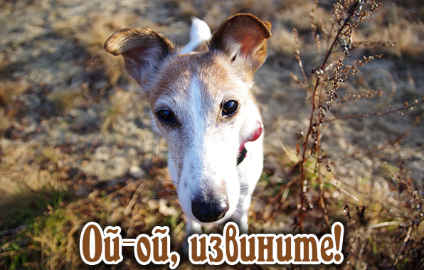 Ой-ой, извините!