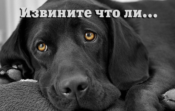 Извините что ли..
