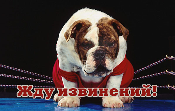 Жду извинений!