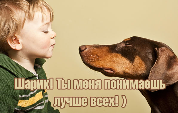 Шарик! Ты меня понимаешь лучше всех!