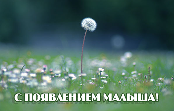С появлением малыша!