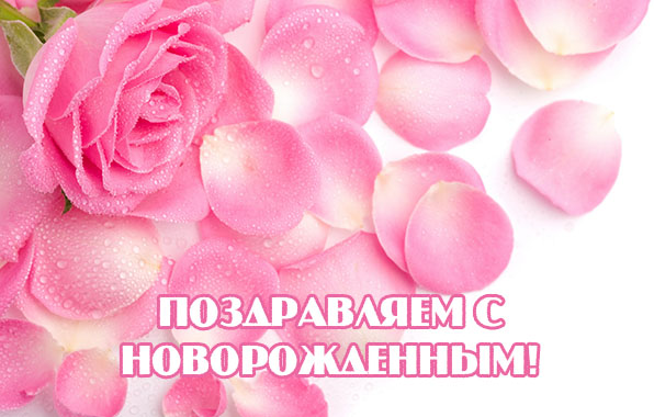 Поздравляем с новорожденным!