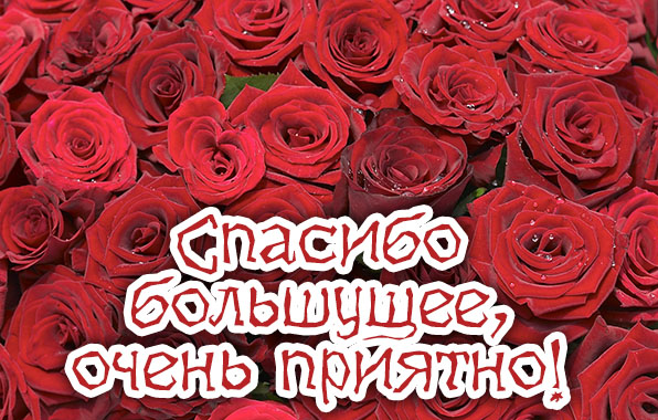 Спасибо большущее, очень приятно