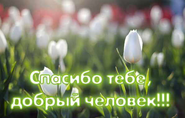 Спасибо тебе, добрый человек