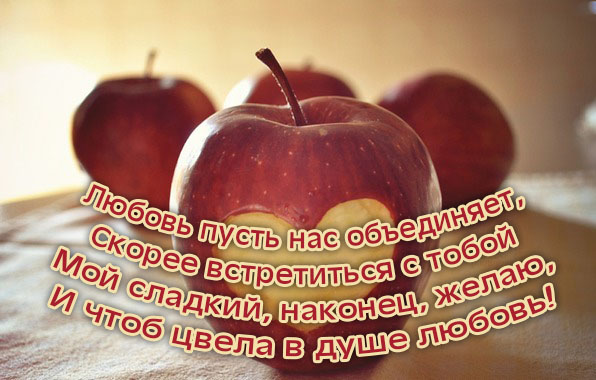 Мой сладкий